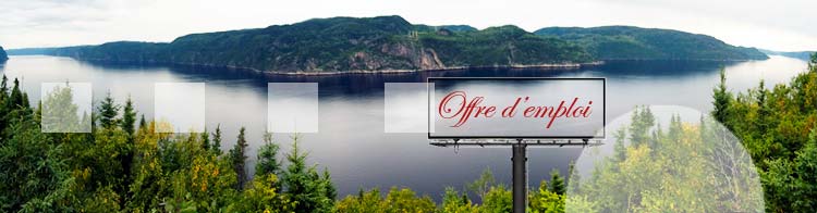 Offre d'emploi