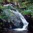 Le ruisseau des Plateaux